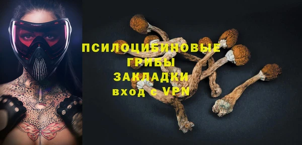СК Медногорск