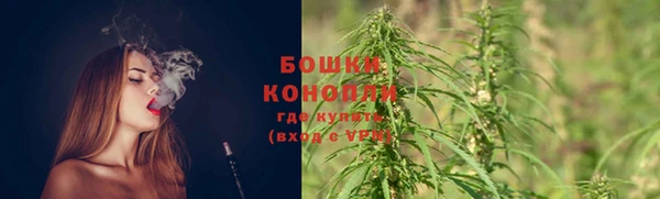 СК Мегион
