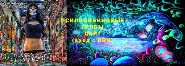СК Мегион